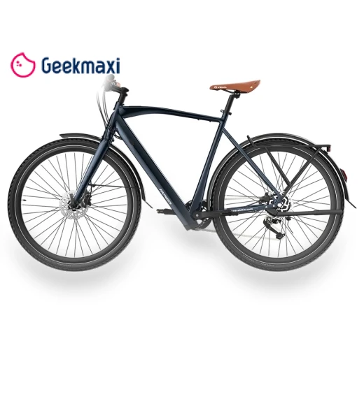 Electric Bike — Electric Self-Balancing Scooters, Fafrees