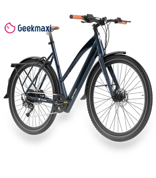 Electric Bike — Electric Self-Balancing Scooters, Fafrees