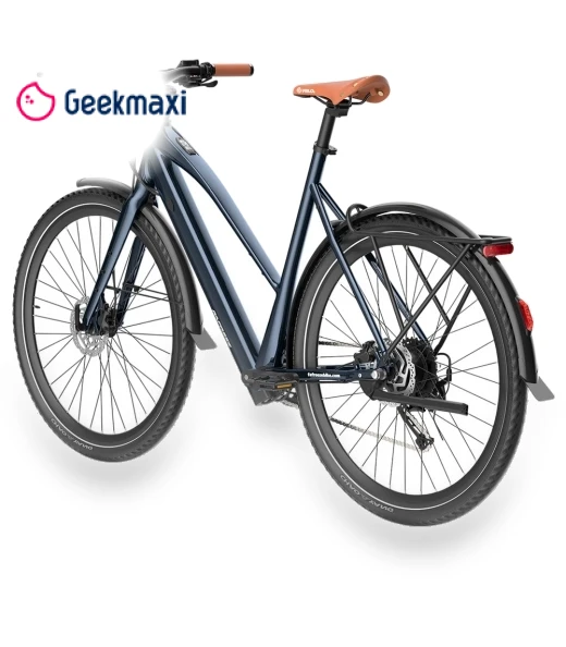 Electric Bike — Electric Self-Balancing Scooters, Fafrees