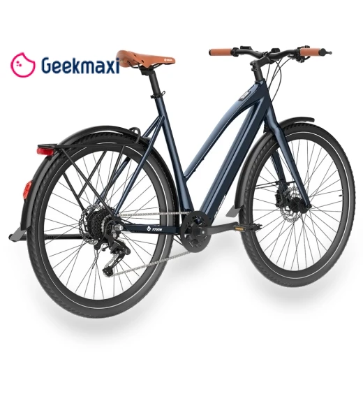Electric Bike — Electric Self-Balancing Scooters, Fafrees