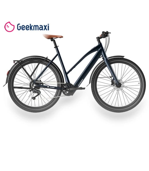 Electric Bike — Electric Self-Balancing Scooters, Fafrees