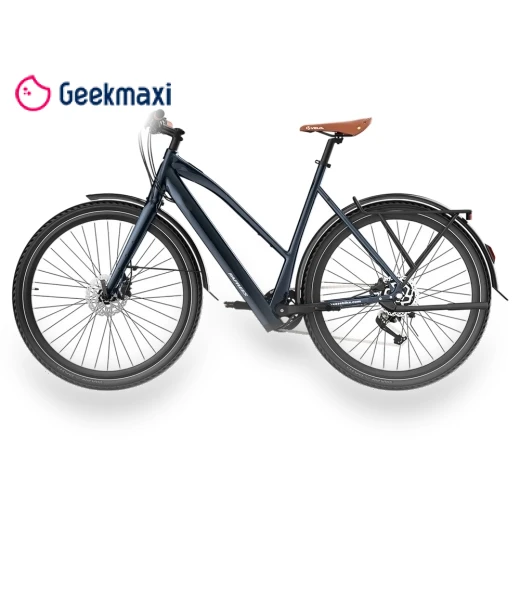 Electric Bike — Electric Self-Balancing Scooters, Fafrees