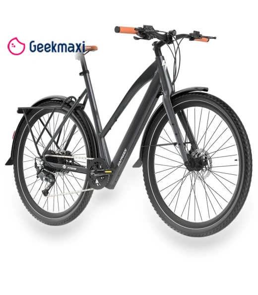 Electric Bike — Electric Self-Balancing Scooters, Fafrees