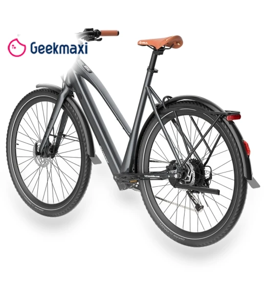 Electric Bike — Electric Self-Balancing Scooters, Fafrees