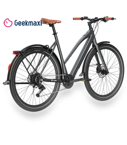 Electric Bike — Electric Self-Balancing Scooters, Fafrees