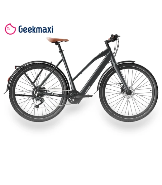 Electric Bike — Electric Self-Balancing Scooters, Fafrees