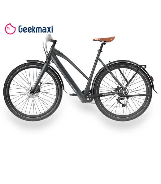 Electric Bike — Electric Self-Balancing Scooters, Fafrees