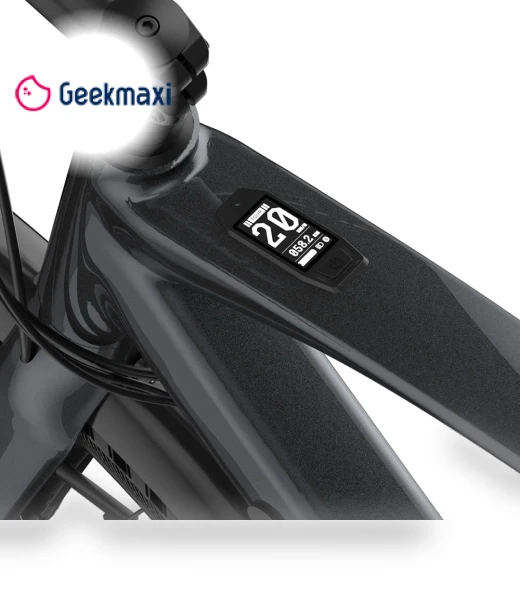 Electric Bike — Electric Self-Balancing Scooters, Fafrees