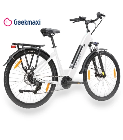 Electric Bike — E-Bikes, TTGO