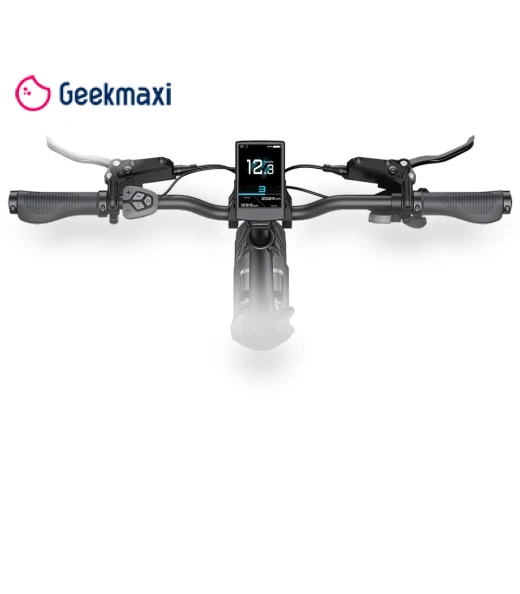 Electric Bike — E-Bikes, ENGWE