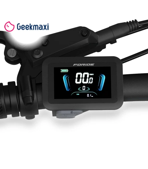 Electric Bike — E-Bikes, Foride