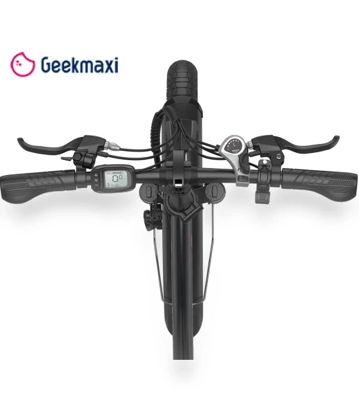 Foldable Electric Bike — Electric Self-Balancing Scooters, Fafrees