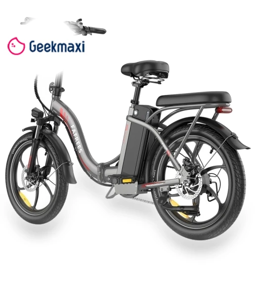 Foldable Electric Bike — Electric Self-Balancing Scooters, Fafrees