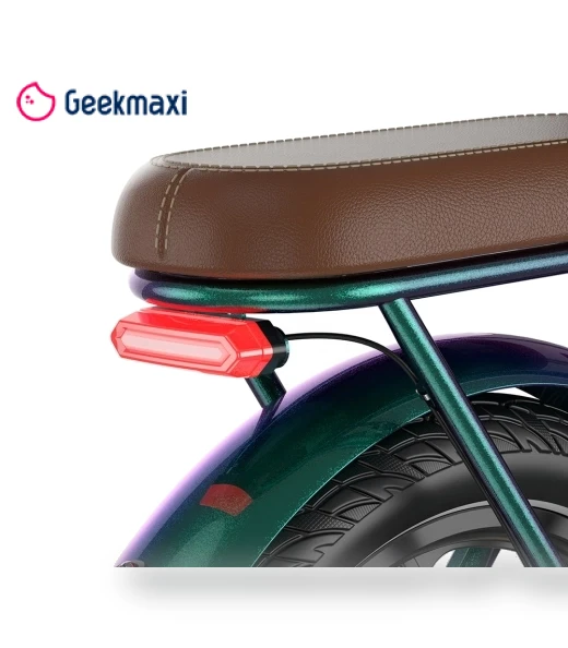 Foldable Electric Bike — Electric Self-Balancing Scooters, Fafrees