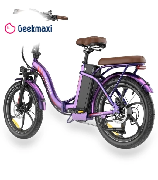 Foldable Electric Bike — Electric Self-Balancing Scooters, Fafrees