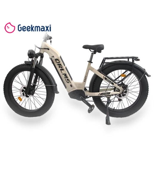 Electric Bike — Electric Self-Balancing Scooters, Orlms