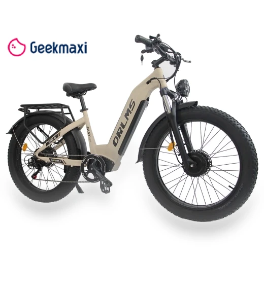 Electric Bike — Electric Self-Balancing Scooters, Orlms