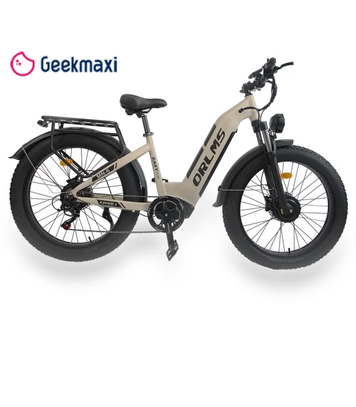 Electric Bike — Electric Self-Balancing Scooters, Orlms