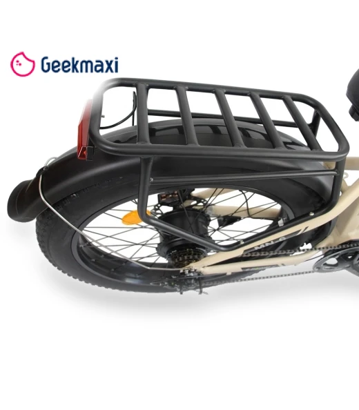 Electric Bike — Electric Self-Balancing Scooters, Orlms