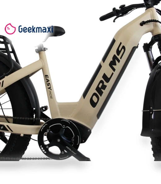 Electric Bike — Electric Self-Balancing Scooters, Orlms