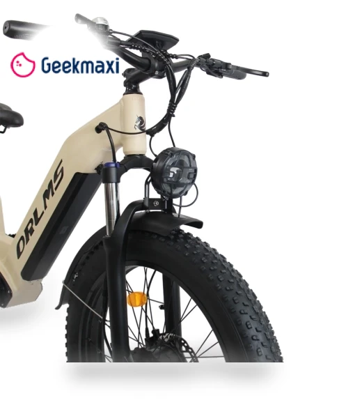 Electric Bike — Electric Self-Balancing Scooters, Orlms