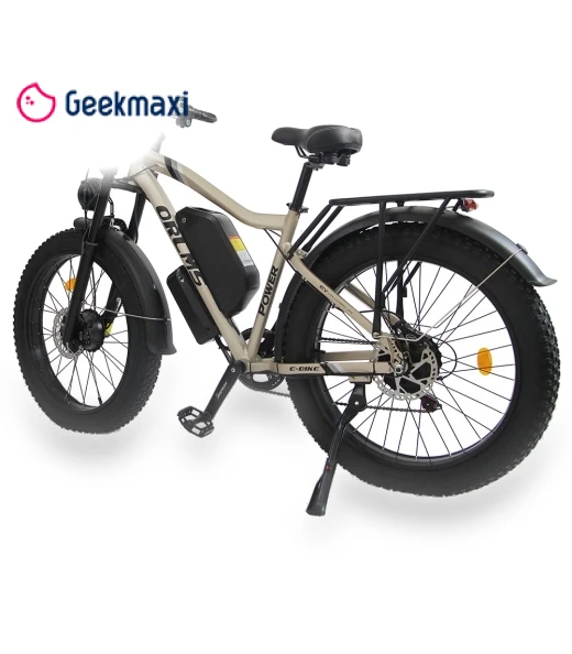 Electric Bike — E-Bikes, Orlms
