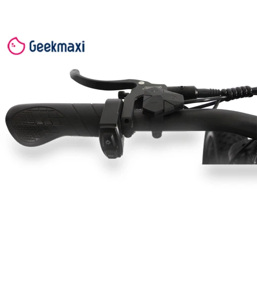 Electric Bike — E-Bikes, Orlms