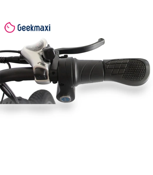 Electric Bike — E-Bikes, Orlms