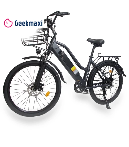 Electric Bike — Electric Self-Balancing Scooters, Orlms