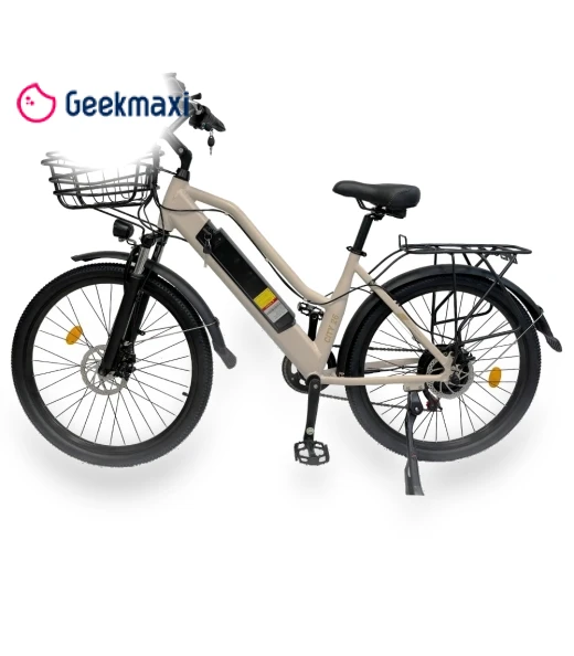 Electric Bike — Electric Self-Balancing Scooters, Orlms
