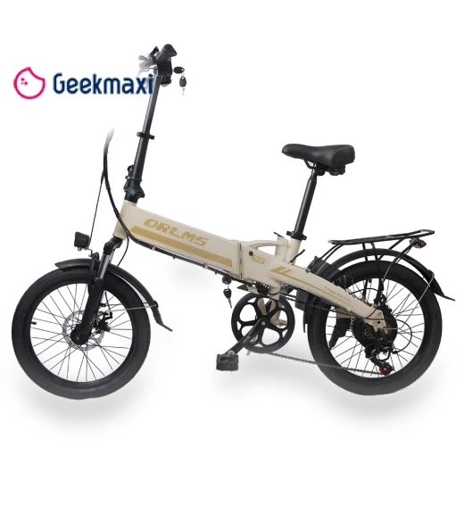 Electric Bike — Electric Self-Balancing Scooters, Orlms