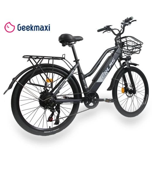 Electric Bike — Electric Self-Balancing Scooters, Orlms