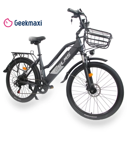 Electric Bike — Electric Self-Balancing Scooters, Orlms