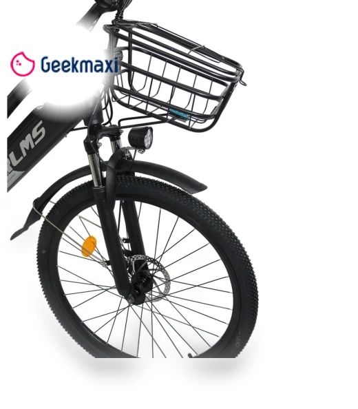 Electric Bike — Electric Self-Balancing Scooters, Orlms