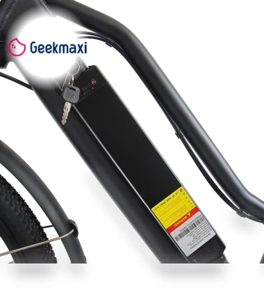 Electric Bike — Electric Self-Balancing Scooters, Orlms