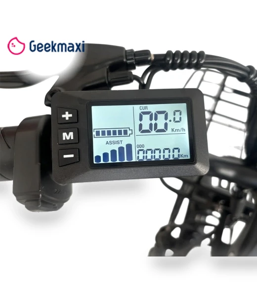 Electric Bike — Electric Self-Balancing Scooters, Orlms