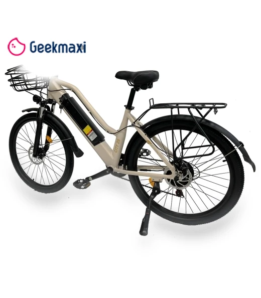 Electric Bike — Electric Self-Balancing Scooters, Orlms