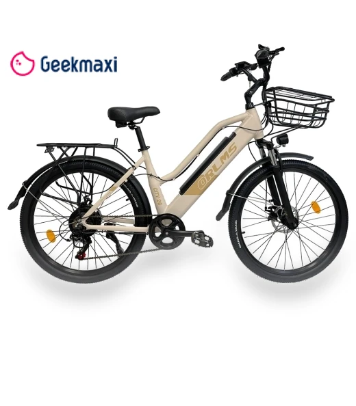 Electric Bike — Electric Self-Balancing Scooters, Orlms
