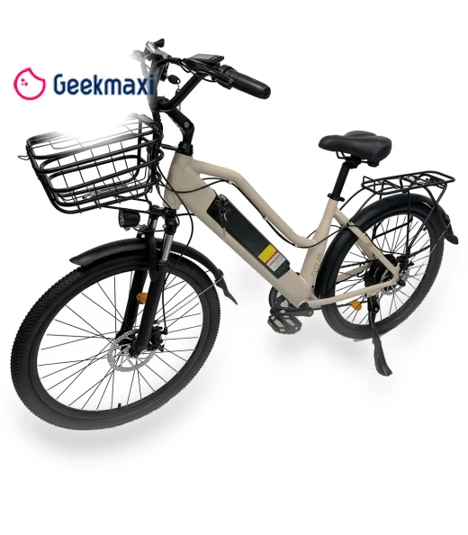 Electric Bike — Electric Self-Balancing Scooters, Orlms