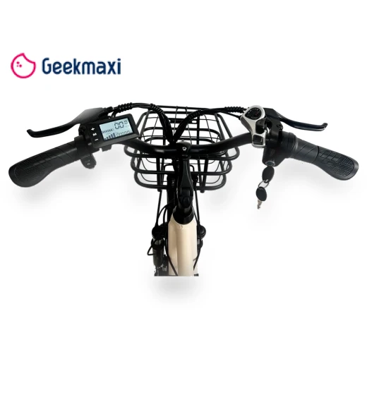 Electric Bike — Electric Self-Balancing Scooters, Orlms