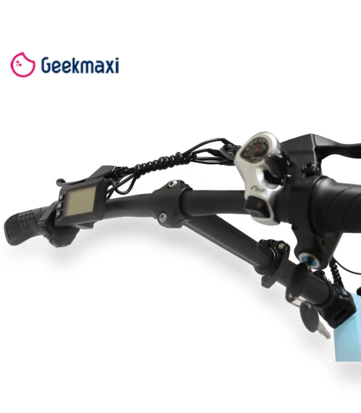 Electric Bike — Electric Self-Balancing Scooters, Orlms