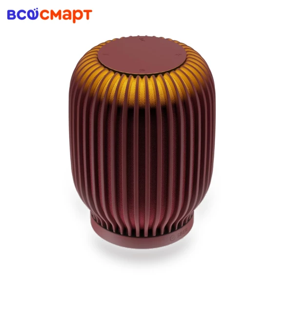 Smart Speaker — Smart Home Security, Sber