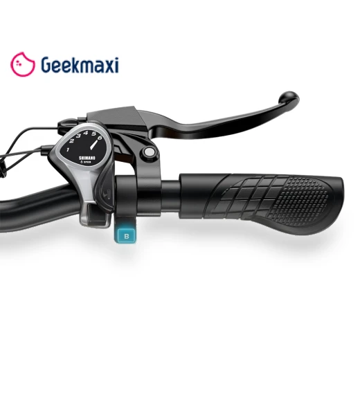 Foldable Electric Bike — Electric Self-Balancing Scooters, ENGWE