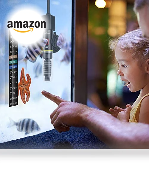 Mini Aquarium Heater — Heaters & Chillers, DaToo