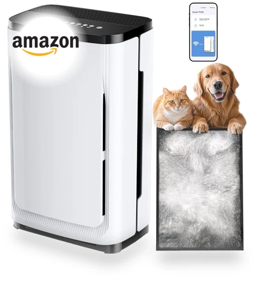 Air Purifier for Large Rooms — Activated Carbon Air Purifiers, HEAPETS