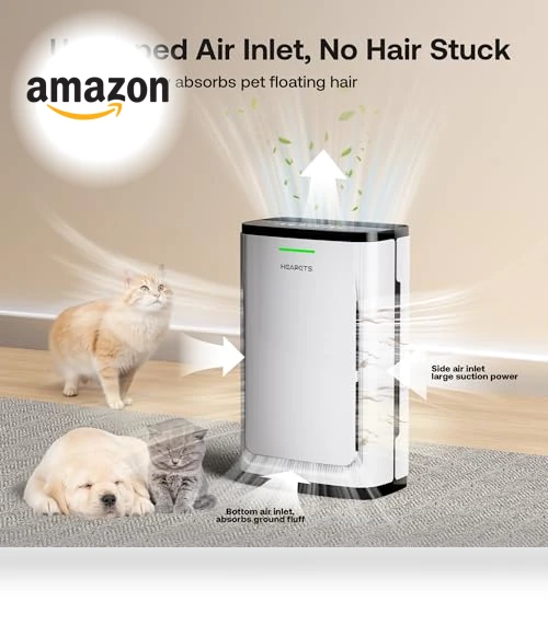 Air Purifier for Large Rooms — Activated Carbon Air Purifiers, HEAPETS