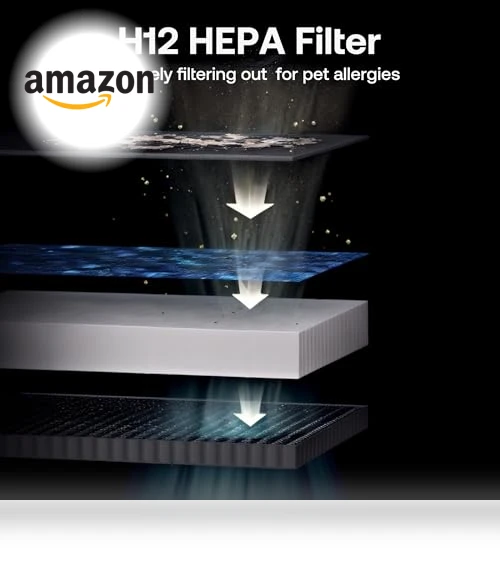 Air Purifier for Large Rooms — Activated Carbon Air Purifiers, HEAPETS