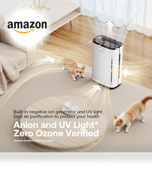 Air Purifier for Large Rooms — Activated Carbon Air Purifiers, HEAPETS