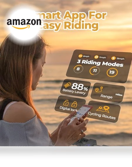 Electric Scooter — Electric Vehicles, Roinside