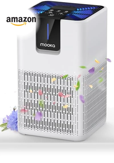 H13 HEPA Air Purifier — Activated Carbon Air Purifiers, Mooka